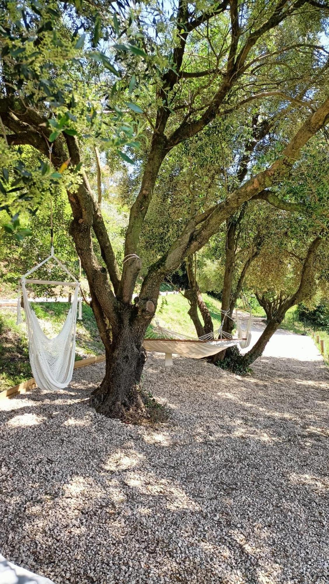 Tuffudesu Experience (Adults Only) Bed & Breakfast Osilo Luaran gambar